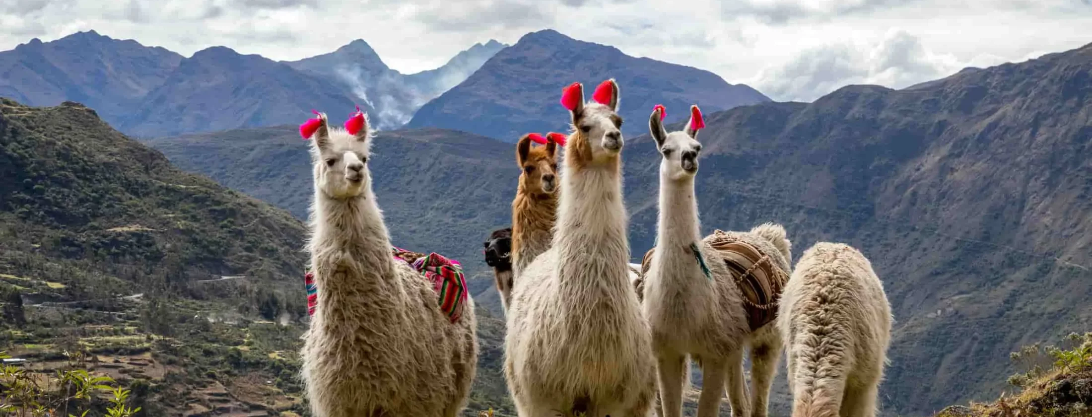 Lares Treks Tours