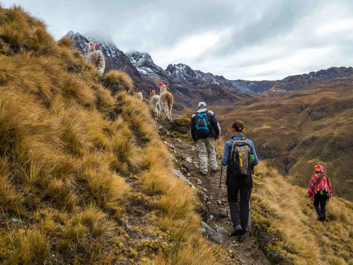 Lares To Machu Picchu 4 Days (4)