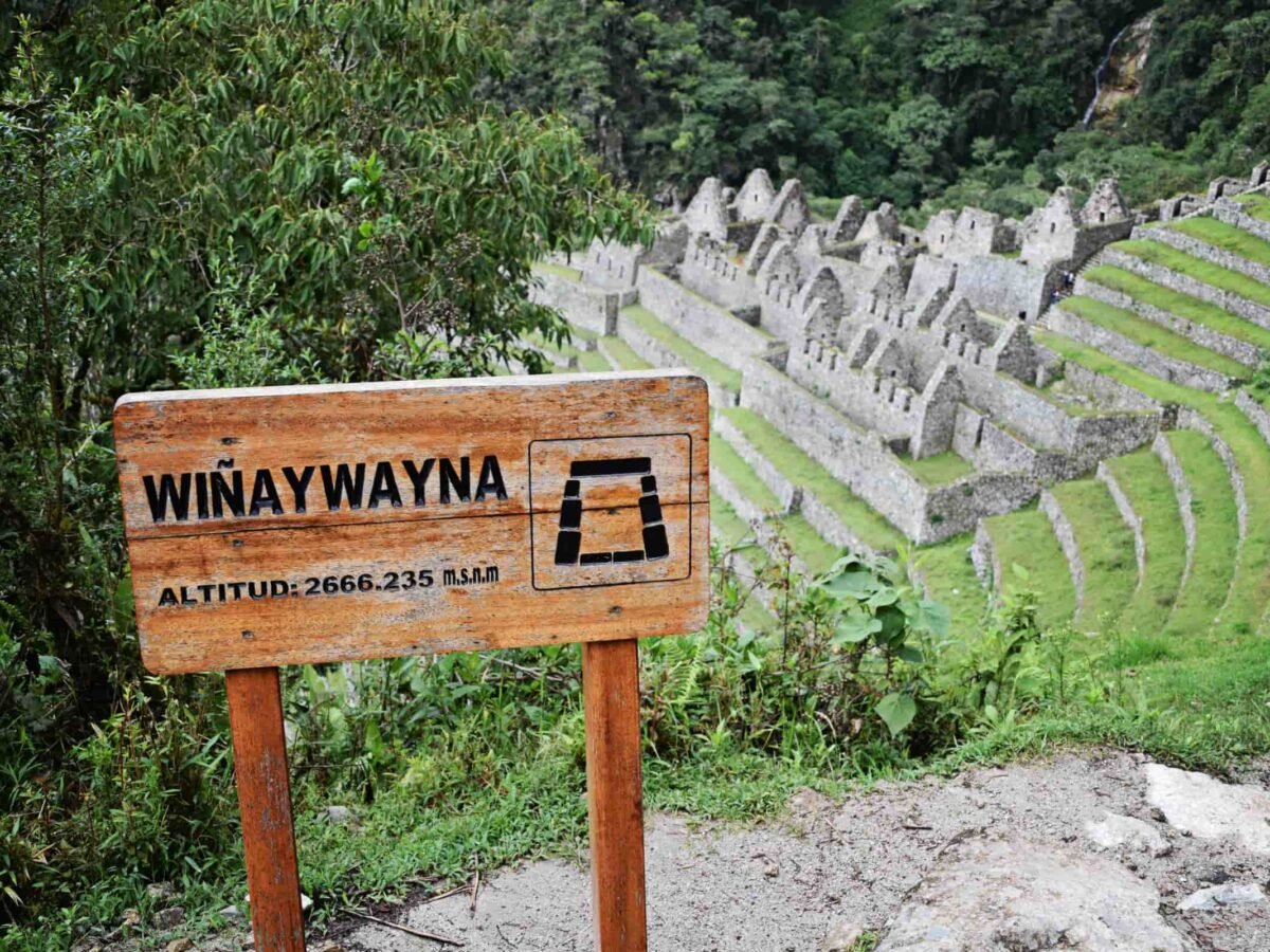 short inca trail 2 days machu picchu (5)