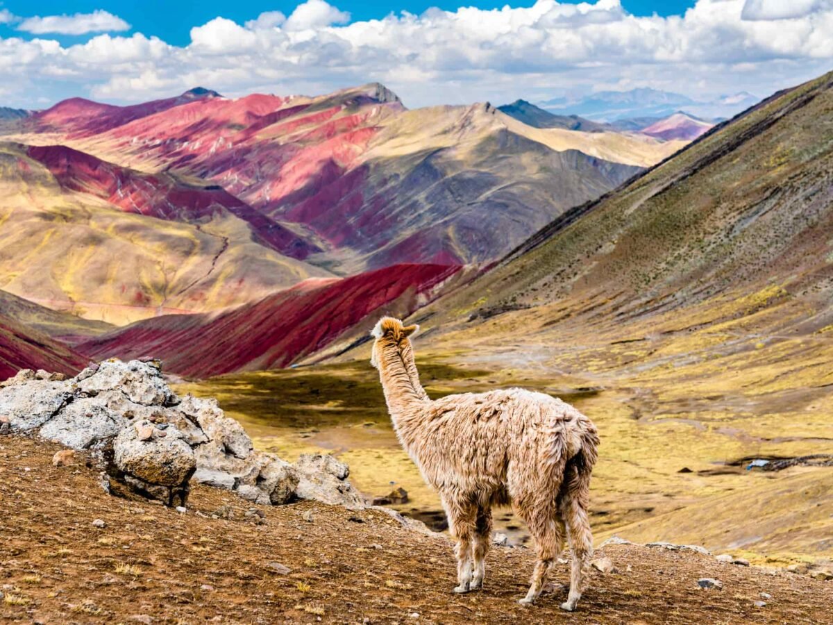 Palccoyo rainbow mountain 1 Day