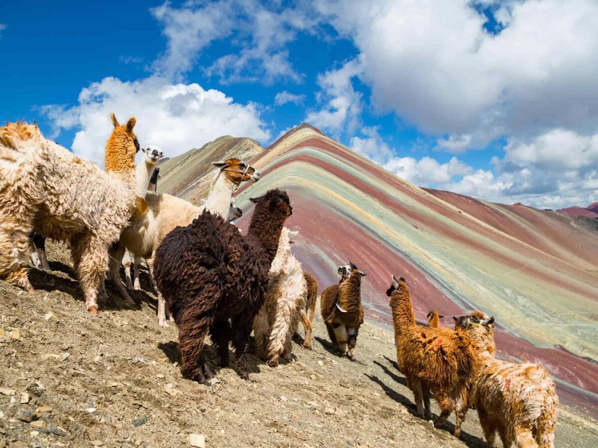 rainbow mountain vinicunca (3)